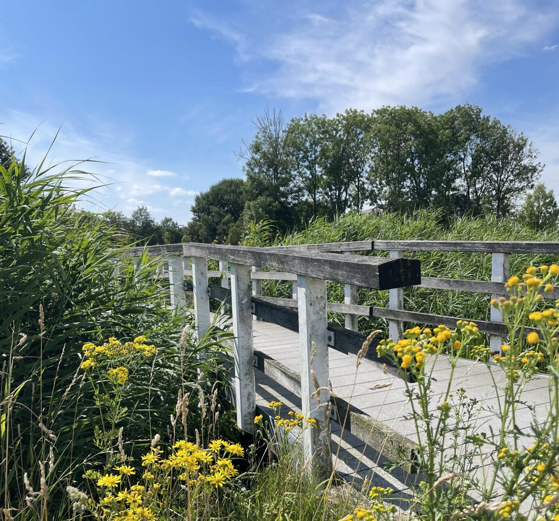 natuurrijke omgeving